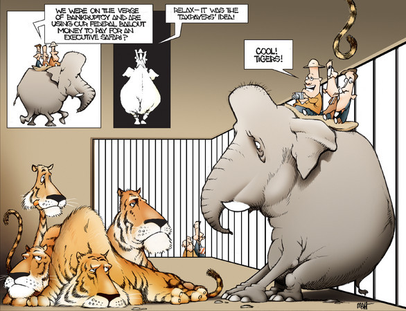February 8, 2009 : Archive : Meyer Cartoons